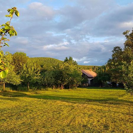 Tepke Guesthouse Garáb 外观 照片
