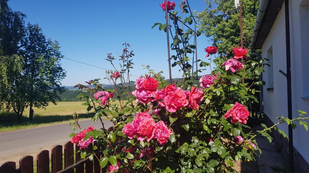 Tepke Guesthouse Garáb 外观 照片